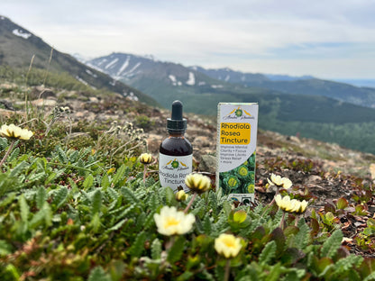 Alaska Rhodiola® Tincture – 2 oz Bottle