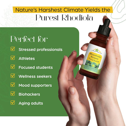 Alaska Rhodiola® Tincture – 2 oz Bottle
