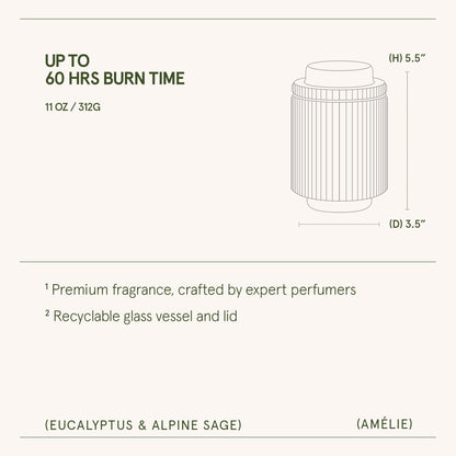 Amélie –  Eucalyptus & Alpine Sage Candle