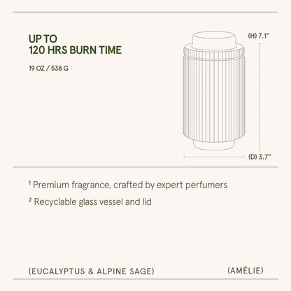 Amélie –  Eucalyptus & Alpine Sage Candle