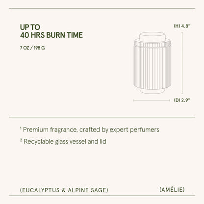 Amélie –  Eucalyptus & Alpine Sage Candle