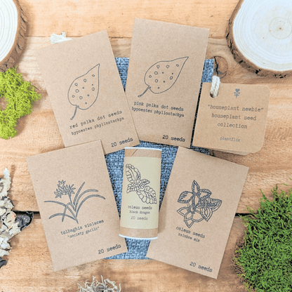 "Houseplant Newbie" Houseplant Seed Collection